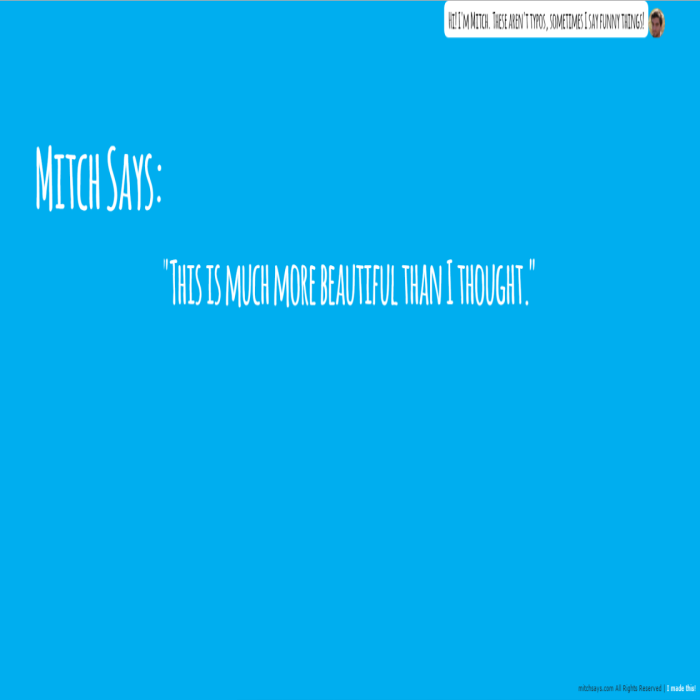 Mitch Says Website Screenshot